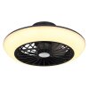 Globo LAFEE Ventilador de techo LED Negro, 1 luz