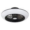 Globo LAFEE Ventilador de techo LED Negro, 1 luz