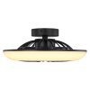 Globo LAFEE Ventilador de techo LED Negro, 1 luz