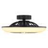 Globo LAFEE Ventilador de techo LED Negro, 1 luz