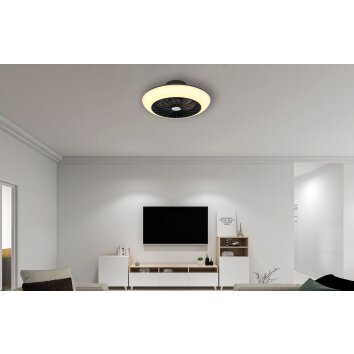 Globo LAFEE Ventilador de techo LED Negro, 1 luz