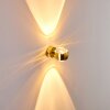 Sapri Aplique dorado, 1 luz