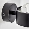 Sapri Aplique Negro, 1 luz