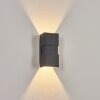 Coorabie Aplique para exterior LED Negro, 2 luces