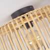Callide Lámpara de Techo Negro, 1 luz