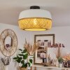 Isisford Lámpara de Techo Negro, 1 luz