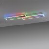 Leuchten-Direkt FELIX60 Lámpara de Techo LED Acero bruñido, 1 luz, Mando a distancia, Cambia de color