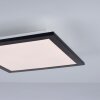 Leuchten-Direkt FLAT Lámpara de Techo LED Negro, 1 luz