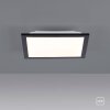 Leuchten-Direkt FLAT Lámpara de Techo LED Negro, 1 luz