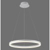 Paul-Neuhaus TITUS Lámpara Colgante LED Blanca, 1 luz