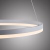 Paul-Neuhaus TITUS Lámpara Colgante LED Blanca, 1 luz