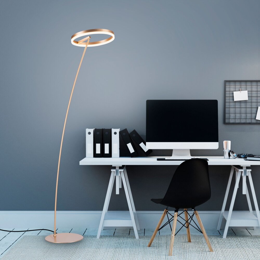 Paul-Neuhaus TITUS Lámpara de Pie LED Latón, 1 luz main product photo