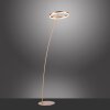 Paul-Neuhaus TITUS Lámpara de Pie LED Latón, 1 luz