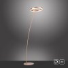 Paul-Neuhaus TITUS Lámpara de Pie LED Latón, 1 luz