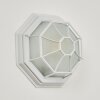 Ibacache Aplique para exterior Blanca, 1 luz