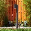Toogong Poste de Jardín LED Antracita, 1 luz, Sensor de movimiento