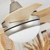 Morino Ventilador de techo Crudo, Níquel-mate, 2 luces, Mando a distancia