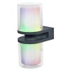 LEDVANCE Smart+ Aplique para exterior Gris, 1 luz