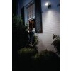 LEDVANCE Smart+ Foco proyector jardin Gris, 1 luz, Sensor de movimiento