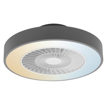 LEDVANCE Smart Ventilador de techo Gris, 1 luz, Mando a distancia