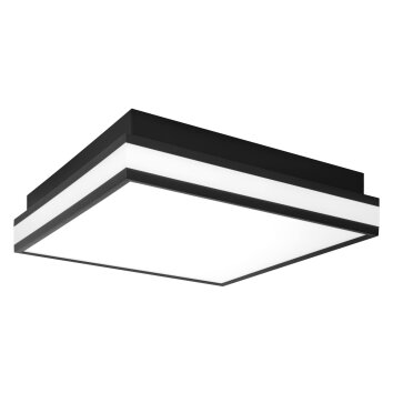 LEDVANCE Decorative Lámpara de Techo Negro, 1 luz