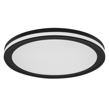 LEDVANCE Decorative Lámpara de Techo Negro, 1 luz