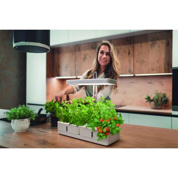 LEDVANCE Indoor Garden Lámpara de mesa Blanca, 1 luz