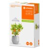 LEDVANCE Indoor Garden Toma de jardin con estaca Blanca, 1 luz