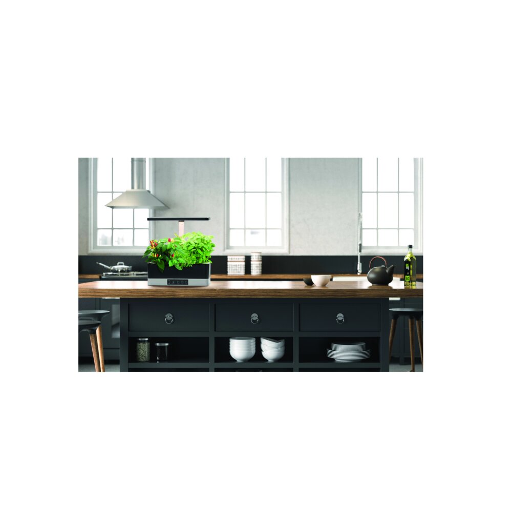 LEDVANCE Indoor Garden Lámpara de mesa Negro, 1 luz main product photo