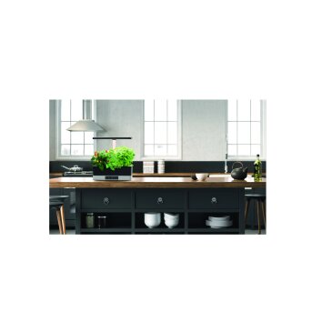 LEDVANCE Indoor Garden Lámpara de mesa Negro, 1 luz