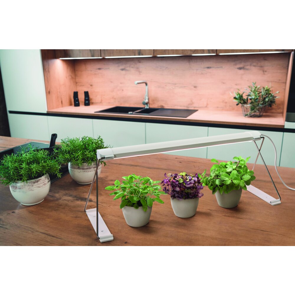 LEDVANCE Indoor Garden Lámpara de mesa Blanca, 1 luz main product photo