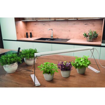 LEDVANCE Indoor Garden Lámpara de mesa Blanca, 1 luz