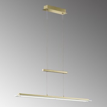 Fischer & Honsel  Tenso TW Lámpara Colgante LED Latón, 1 luz
