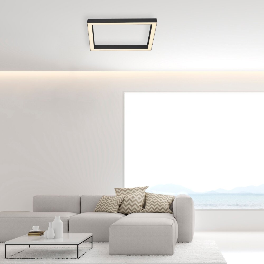 Paul-Neuhaus PURE-LINES Lámpara de Techo LED Antracita, 1 luz, Mando a distancia main product photo