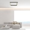 Paul-Neuhaus PURE-LINES Lámpara de Techo LED Antracita, 1 luz, Mando a distancia