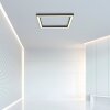 Paul-Neuhaus PURE-LINES Lámpara de Techo LED Antracita, 1 luz, Mando a distancia