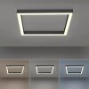 Paul-Neuhaus PURE-LINES Lámpara de Techo LED Antracita, 1 luz, Mando a distancia