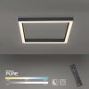Paul-Neuhaus PURE-LINES Lámpara de Techo LED Antracita, 1 luz, Mando a distancia