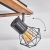 Bardhaman Lámpara de Techo LED Marrón, Cromo, Color madera, Negro, 5 luces