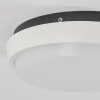 Centinela Lámpara de techo para exterior LED Antracita, Blanca, 1 luz