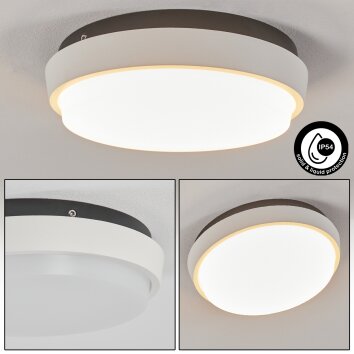 Centinela Lámpara de techo para exterior LED Antracita, Blanca, 1 luz