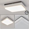 Gomero Lámpara de techo para exterior LED Antracita, Blanca, 1 luz