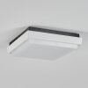 Gomero Lámpara de techo para exterior LED Antracita, Blanca, 1 luz