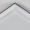Gomero Lámpara de techo para exterior LED Antracita, Blanca, 1 luz