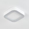 Paleroo Lámpara de techo para exterior LED Blanca, 1 luz