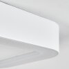 Paleroo Lámpara de techo para exterior LED Blanca, 1 luz