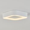 Paleroo Lámpara de techo para exterior LED Blanca, 1 luz