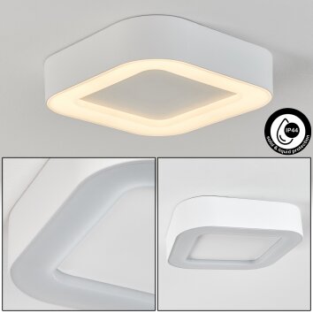 Paleroo Lámpara de techo para exterior LED Blanca, 1 luz