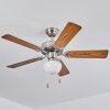 Apiao Ventilador de techo Marrón, Color madera, Plata, 1 luz