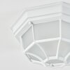 Ibacache Lámpara de techo para exterior Blanca, 1 luz